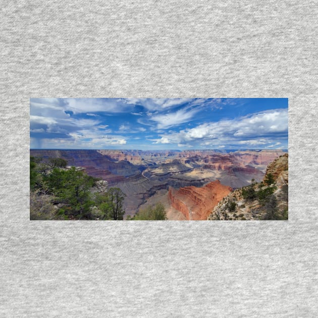 Grand Canyon from the South Rim by KWAPhoto